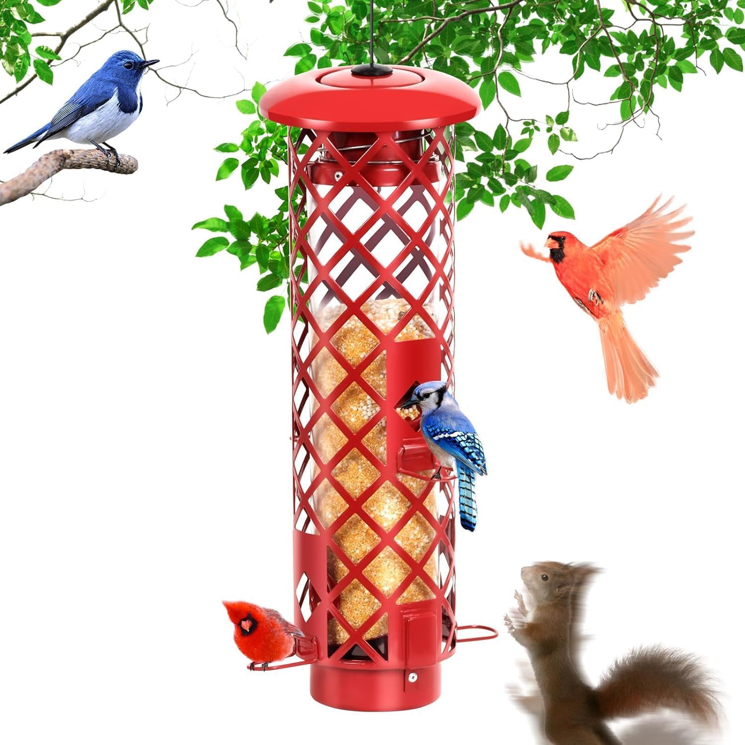 Squirrel Proof Outdoor Hanging Bird Feeder, Gravity Protection Feeder for Wild Birds, Metal for Outdoors, 2.5 lbs Capacity